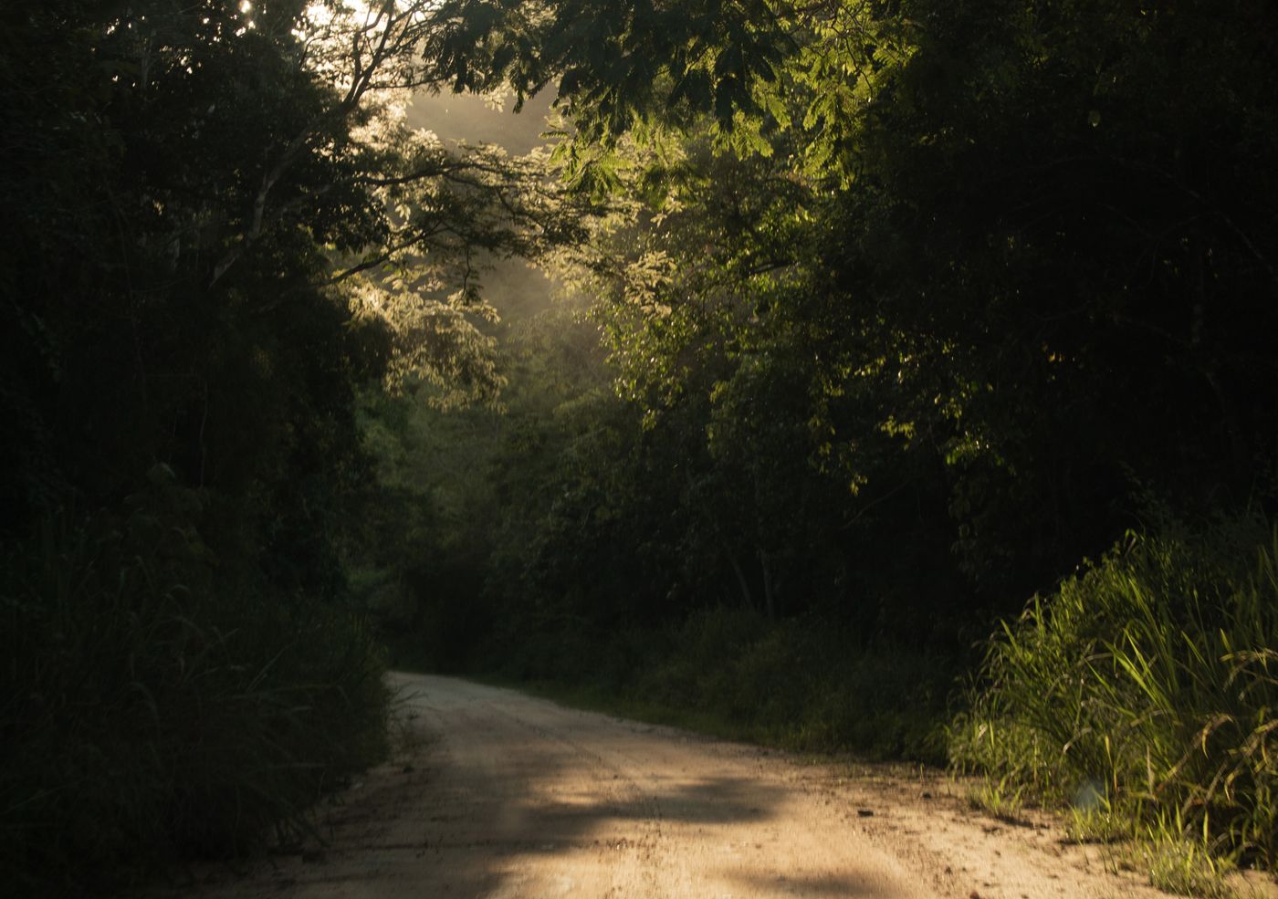 Estrada ao entardecer no Pantanal, Mato Grosso do Sul